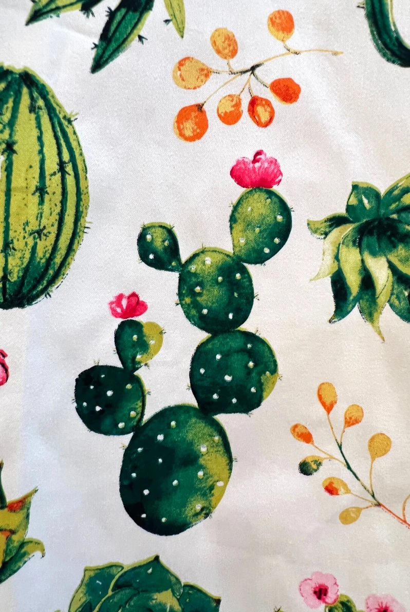 IXIA2 Missy Sharp Like A Cactus 6 IXIA2 Missy Sharp Like A Cactus